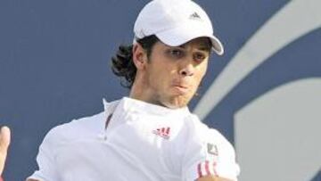 <strong>CON PASO FIRME.</strong> Fernardo Verdasco, con paso firme