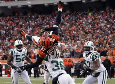 Bengals, 14; Jets, 24.
