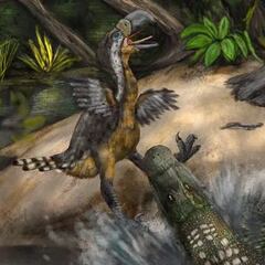 Revelan cuál fue el temible animal que atacó al ave del terror colombiana gracias a un fósil