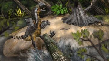 El ave del terror fue uno de los depredadores más temidos de Suramérica durante la era del Mioceno. Foto: Link et al - Biology Letters.
