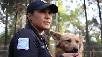 Los particulares trabajadores de la Secretaría de Seguridad: quiénes son y cuáles son sus labores