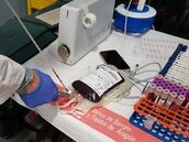 Cómo saber cuál es mi grupo sanguíneo, cuántos tipos hay y cuál es el mejor para donar