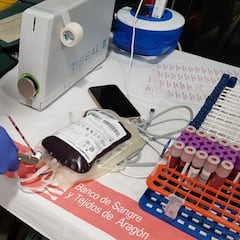 Cómo saber cuál es mi grupo sanguíneo, cuántos tipos hay y cuál es el mejor para donar