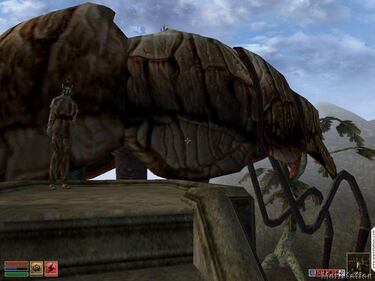 Uno de los creadores de Skyrim habla sobre The Elder Scrolls VI: “No gravita hacia las cosas raras”