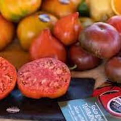 El ataque de la exministra francesa Ségolène Royal a los tomates españoles: “Son incomestibles”