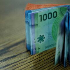 Ingreso Familiar de Emergencia: tramos de pagos según el tamaño del hogar