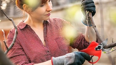 Tu jardín, a punto sin esfuerzo con estas tijeras de podar eléctricas
