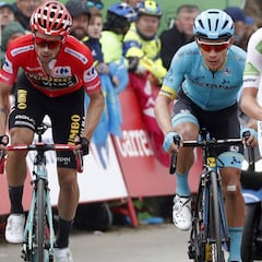 Pogacar vuelve a brillar en Strava en La Cubilla