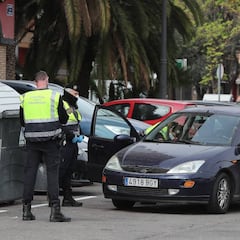 ¿Se puede ir en coche a hacer la compra durante el estado de alarma?