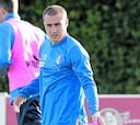 Cannavaro: "¿Dopaje? ¡Fue una maldita avispa!"