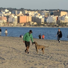 Playas en la nueva normalidad: aforo, normas y restricciones