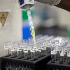 No se analizarán más test por la crisis del coronavirus