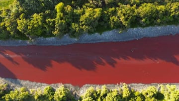 Río contaminado Buenos Aires
