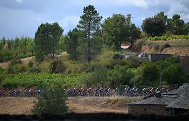 El pelotón durante la etapa.