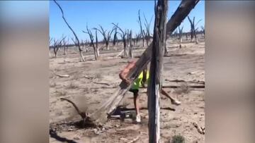 Esto si que es entrenamiento de alta resistencia