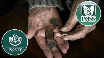 Pensión IMSS e ISSSTE: cuándo cae el pago de julio y cuál es el calendario completo del 2024