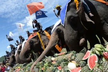 Las curiosas imágenes del polo sobre elefantes
