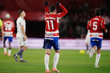 Aprobados y suspensos del Granada: Astralaga salva un triste punto