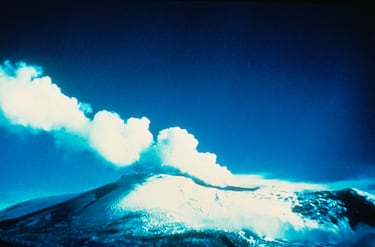 El 13 de noviembre de 1985, una erupción volcánica de magnitud moderada (VEI 3) desencadenó una serie de lahares masivos, que derritieron aproximadamente el 10% del casquete glaciar del volcán. El mayor de estos flujos sepultó por completo el municipio de Armero (Tolima), donde al menos 23.000 personas fallecieron según el Comité de Estudios sobre Desastres de Colombia.