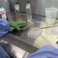 Why has male fertilerty halved? Study suggests average sperm counts have declined sharply