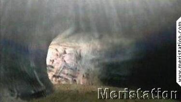 [TGS] Monster Hunter Portable, Impresiones