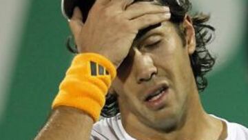 Verdasco cae ante Ljubicic y se complica su presencia en el Torneo de Maestros