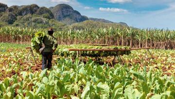 Valle de Viñales /Civitatis