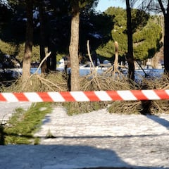 El Gobierno declara zona catastrófica a los territorios afectados por Filomena