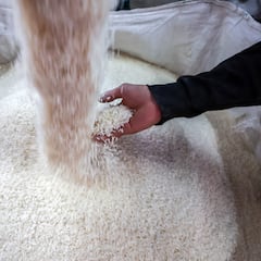 Adiós al arroz: revelan que este alimento clásico podría volverse peligroso para la salud en 2050
