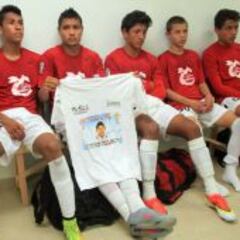 Los Avispones solicitarán reunión con Enrique Peña Nieto