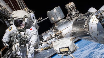 La razón por la que los astronautas de la EEI están cayendo enfermos en el espacio y que afecta a su sistema inmune