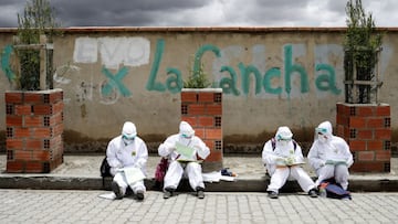 Desastre epedimieológico en Santa Cruz: motivos y posibles medidas