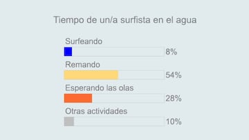 Cinco estudios sobre surf dejan datos realmente curiosos