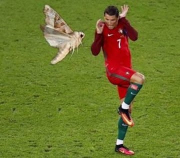 Los mejores memes de la final de la Euro entre Portugal y Francia