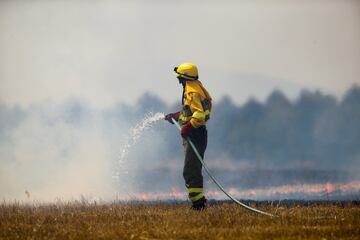 Los incendios se extienden por toda la península ibérica espoleados por la ola de calor. En Losacio (Zamora) ha perdido la vida un brigadista de los medios de extinción de la Junta de Castilla y León. Es el segundo incendio en menos de un mes en en la ciudad castellano leonesa.