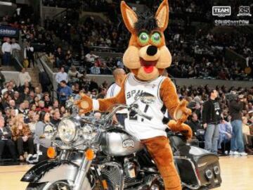 Coyote (San Antonio Spurs)