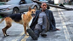 The heartbreaking dog scene in ‘I Am Legend’ that made audiences walk out