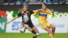 Tigres amarra liderato del torneo tras empate ante Pachuca