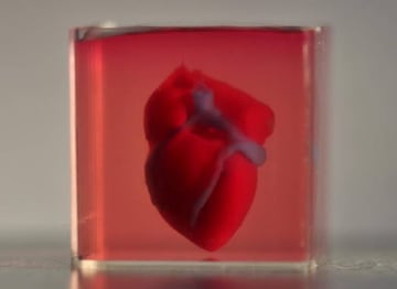 El primer coraz&oacute;n humano impreso en 3D con tejido de un paciente