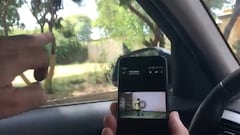 El descubridor de Valverde destapa un secreto de su infancia