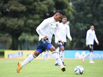 Colomnbia sub 20 se prepara para Toulon con entrenamientos en Bogotá