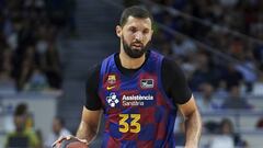 Nikola Mirotic.