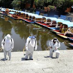 Curva del coronavirus en México hoy, 6 de mayo: ¿cuántos casos y contagios hay?