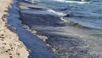 Un vertido de fuel obliga a cerrar la playa de El Saler en Valencia