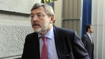 Lissavetzky, sobre Madrid 2020: "Está verde, esperemos a que se cierren las heridas"