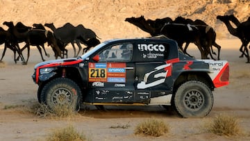 Rallying - Dakar Rally - Stage 2 - Bisha to Bisha - Saudi Arabia - January 6, 2025 General view of camels as IMT Evo Toyota Gazoo Racing's Saood Variawa and Francois Cazalet are seen in action REUTERS/Maxim Shemetov