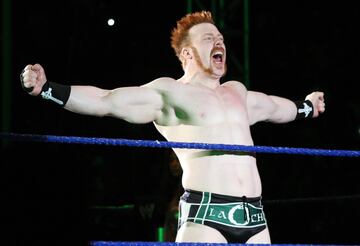 Stephen Farrelly es un luchador profesional de lucha libre. Tras sus comienzos en circuitos europeos dio el salto a la gran marca del wrestling WWE en 2009. Entre sus logros en esta compañía están los cuatro campeonatos mundiales o hacerse con el Royal Rumble Match de 2012.