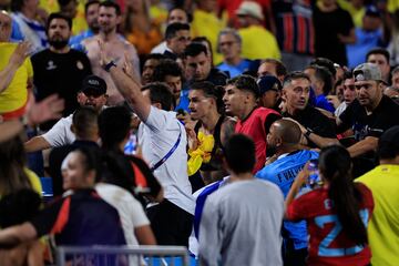 Al final del encuentro entre la selección uruguaya y la selección colombiano se produjeron unos hechos inadmisibles. Jugadores uruguayos se pelearon con aficionados colombianos que se situaban en la grada. Se prevén sanciones ejemplares por parte de Conmebol e incluso involucrando a la FIFA.