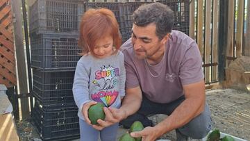 Fue un famoso periodista de TVN y CDF, quiso ser alcalde y ahora vende frutas