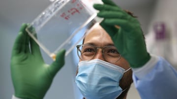 Dr. Jesse Erasmus checks vero cells as he works on the development of a replicon, or replicating, RNA vaccine, used to combat Covid-19 (SARS-CoV-2), at a microbiology lab at the University of Washington School of Medicine in Seattle, Washington. 